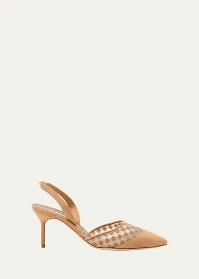 Manolo Blahnik Mingosli Check Suede Slingback Pumps In Mbrw2160/yoth993g