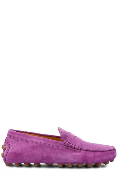 Tod's Gommino Logo In Purple