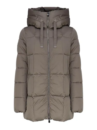 Save The Duck Padded Hooded Coat In Gris