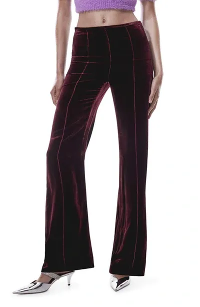 Mango Flared Velvet Trousers Maroon