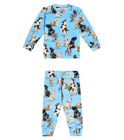 Molo Baby Set Aus Sweatshirt Eloy Und Hose Sammy In Multicoloured