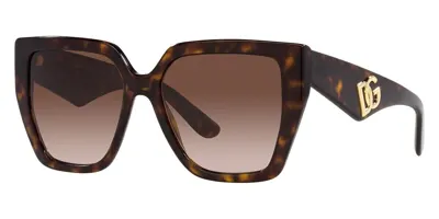 Pre-owned Dolce & Gabbana Dg4438 502/13 55 Havana Sonnenbrille Gradient Brown In Havanna / Verlaufsbraun