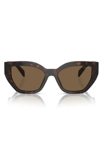 Prada 53mm Butterfly Sunglasses In Dark Brown