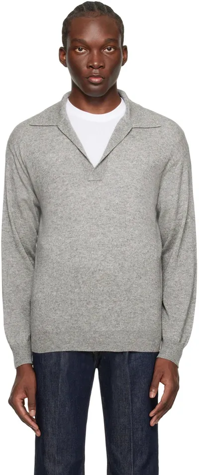 Auralee Gray Skipper Long Sleeve Polo In Top Gray