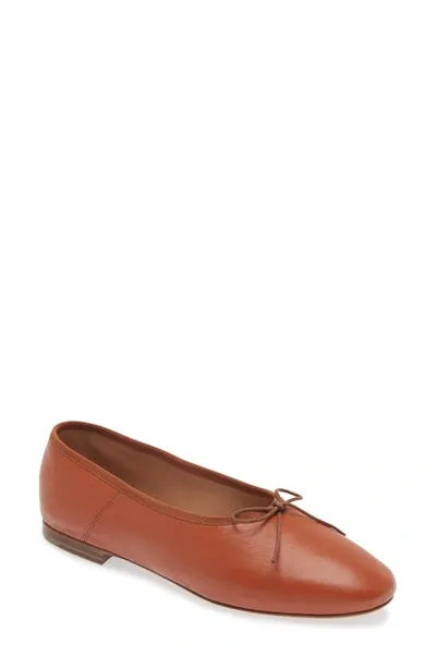 Mansur Gavriel Mansur Gravriel Women's Dream Ballet Flats In Caramel Naplak