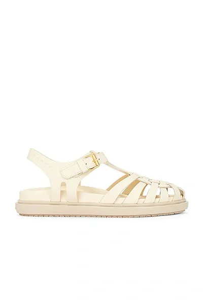 Marni Strap Sandal In Beige