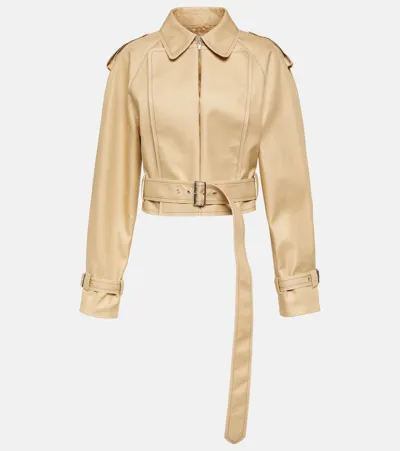 Victoria Beckham Cropped Cotton Gabardine Jacket In Honey