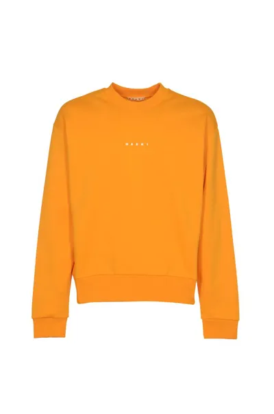 Marni Logo Printed Crewneck Sweatshrit In Orange