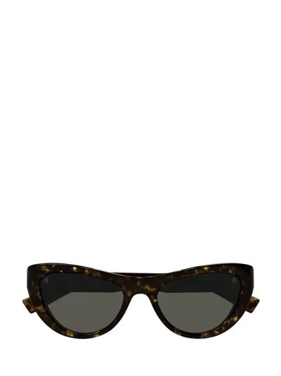 Saint Laurent Eyewear Cat In Multi