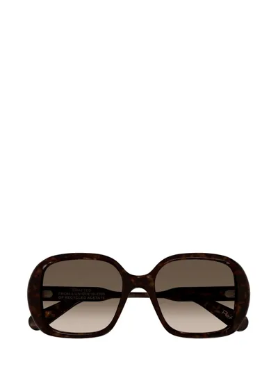 Chloé Eyewear Square In Multi