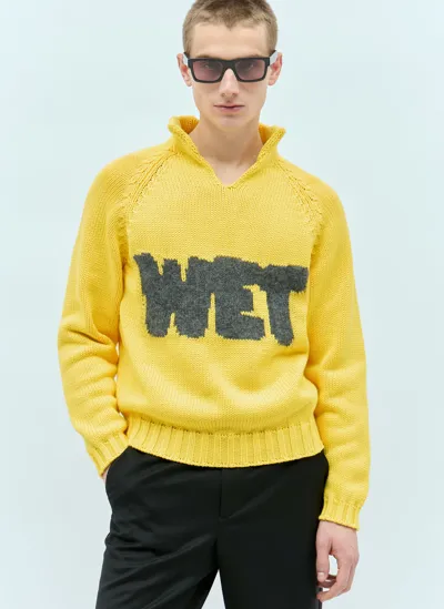 Erl Knitwear In Yellow