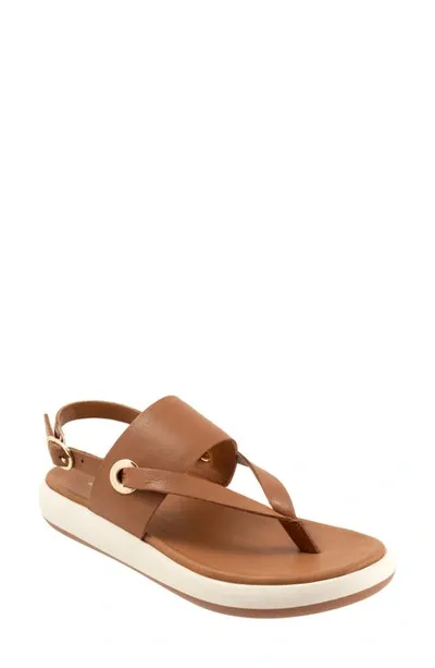 Softwalk Joliet Slingback Sandal In Luggage