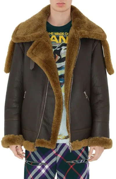 Burberry Shearling Aviator Jacket In Brown