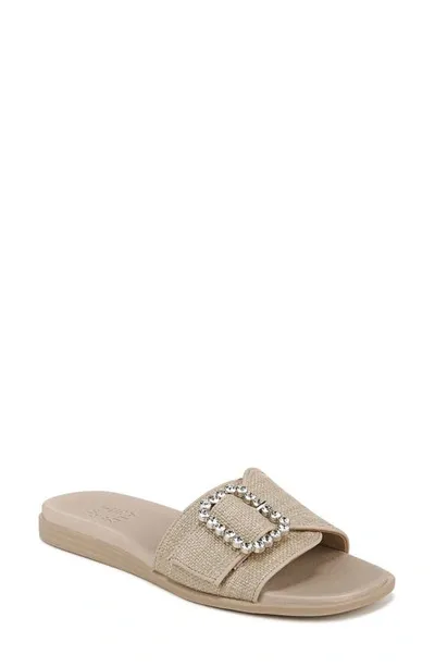 Naturalizer Olivia Slide Sandal In Tan,silver Metallic Raffia