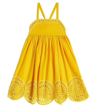 Stella Mccartney Kids' Embroidered Cotton Dress In Yellow Multi