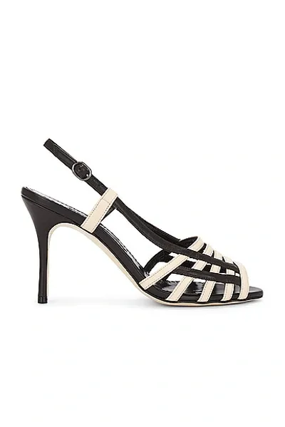 Manolo Blahnik Sorolla 90 Nappa Sandal In Dark Cream & Dark Brown