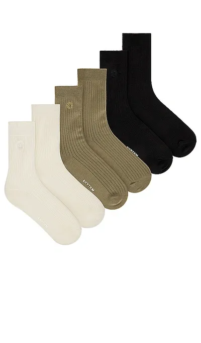 Rhythm Classic 3 Pack Socks In 碎花