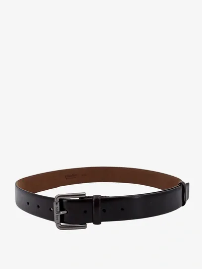 Max Mara Belt In Brown