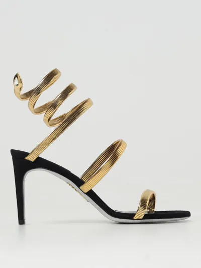 René Caovilla Sandal Juniper In Gold