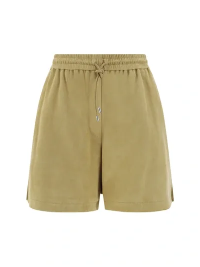 Loewe Shorts In Gold