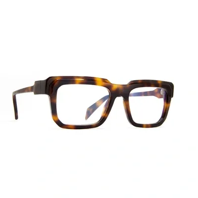 Siens Creature 096 Eyeglasses In 002 Tortoise