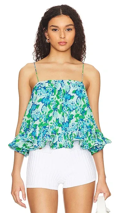 Amur Women's Kersten Floral Pleated Tank Top In Garden Blues