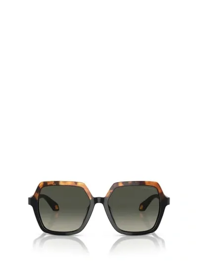 Giorgio Armani Sunglasses In Yellow Havana / Black