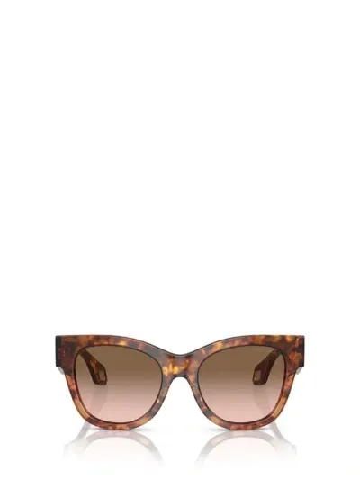 Giorgio Armani Sunglasses In Red Havana / Orange Havana