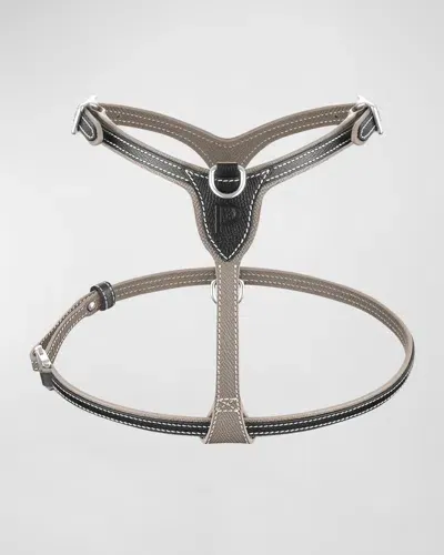 Pagerie Petite Leather Dog Harness In Taupe