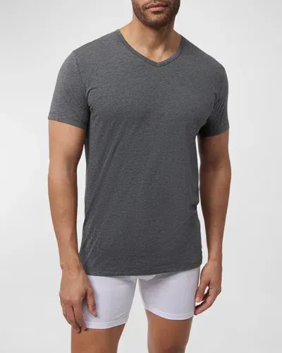 Psycho Bunny Men's 2-pack V-neck T-shirts In Mixed Grey