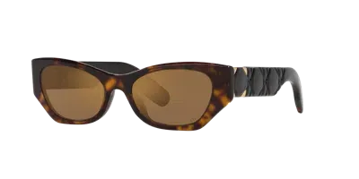 Dior Woman Sunglass Lady 95.22 B1i Cd40147i In Brown