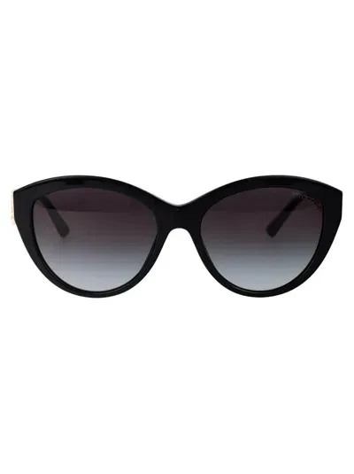 Jimmy Choo Eyewear Cat In Black