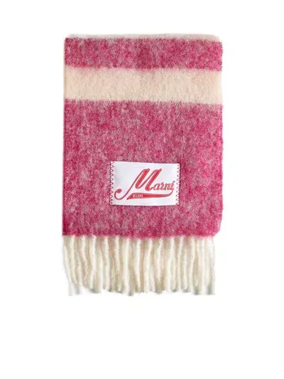 Marni Striped Fringed Scarf In Dry Rose