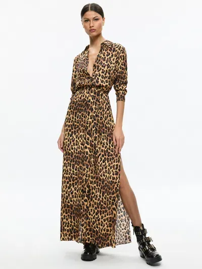 Alice And Olivia Chassidy Maxi Shirt Dress In Leopard