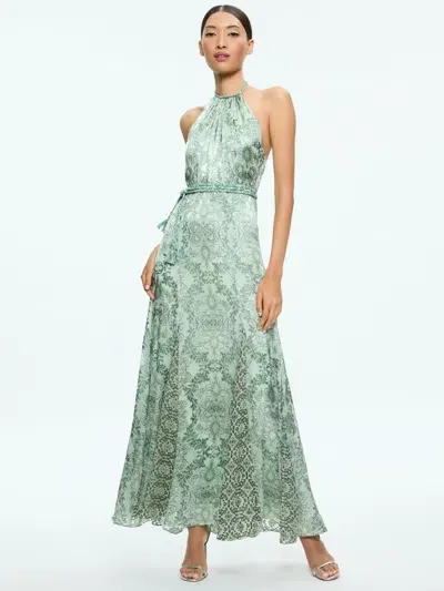 Alice And Olivia Danika Halter Maxi Dress With Belt In Vanity Pistachio