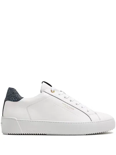 Android Homme Venice Sneakers In White