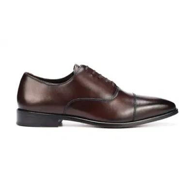 Anthony Veer Men's Bill Cap Toe Oxford Leather Dress Shoes In Chocolate Brown