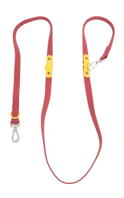 Approved By Fritz The Fritz Pet Leash In Red