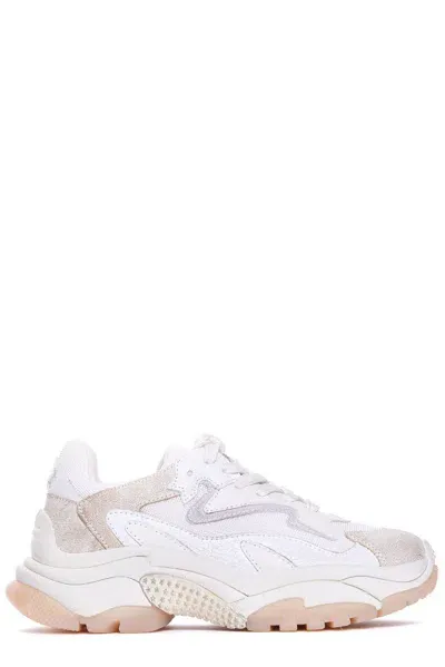 Ash Addict Mesh Panelled Sneakers In Beige