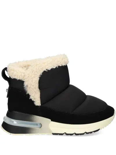 Ash Koala Ankle Boots In Black