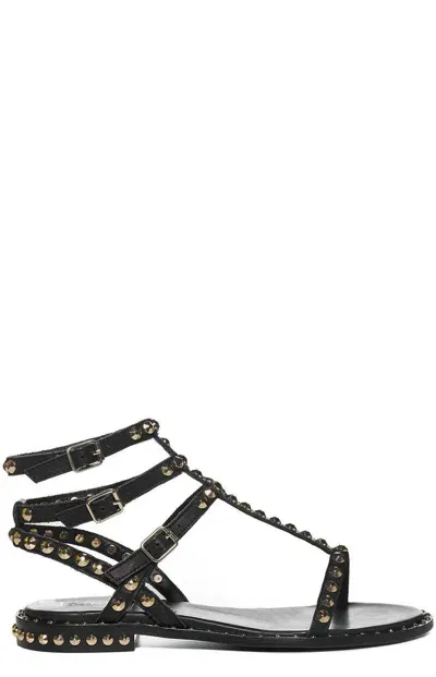 Ash Play Stud Embellished Sandals In Black