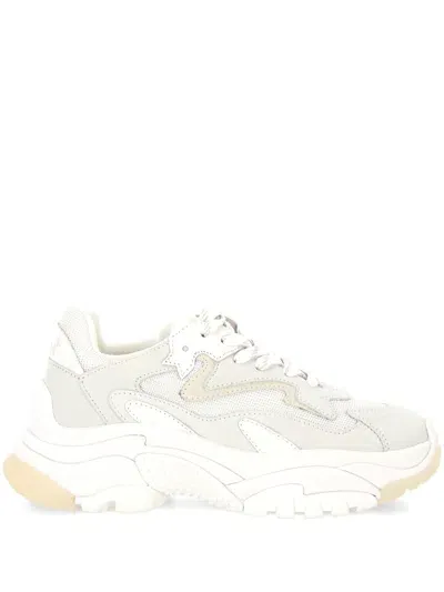 Ash Sneakers In Nubuck White/white/white