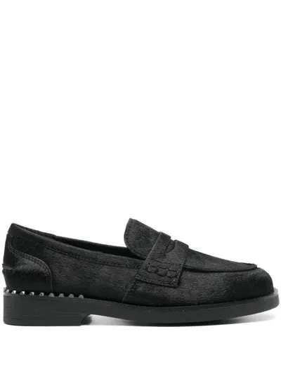 Ash Winon05 Loafer In Black