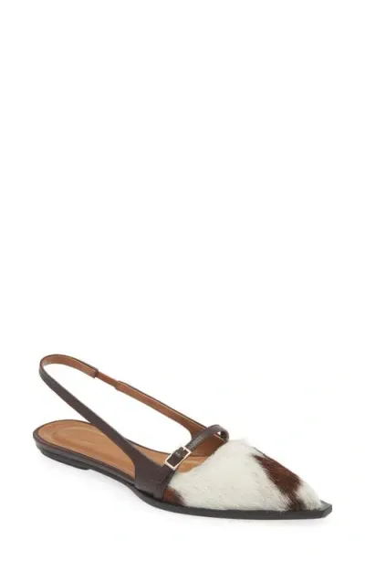 Atp Atelier Cortina Pointed Toe Slingback Flat In Unique/walnut Print Calf Hair