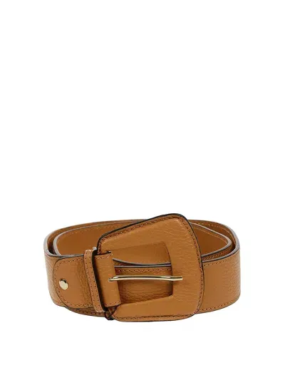 Avenue67 Belt In Brown