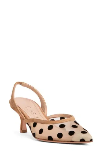 Beautiisoles Flores Slingback Kitten Heel Pump In Brown