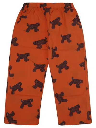 Bobo Choses Pantalone Big Cat All Over In Orange