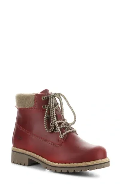 Bos. & Co. Hartt Waterproof Boot In Sangria/castanho