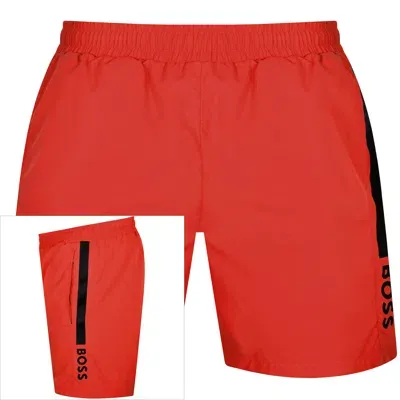 Boss Business Boss Bodywear Dolphin Swim Shorts Red