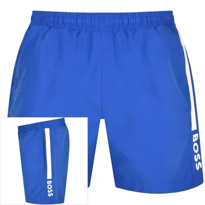 Boss Business Boss Dolphin Swim Shorts Blue